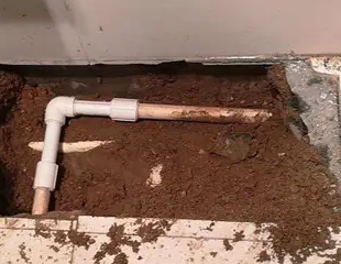 岳西测漏水哪家好